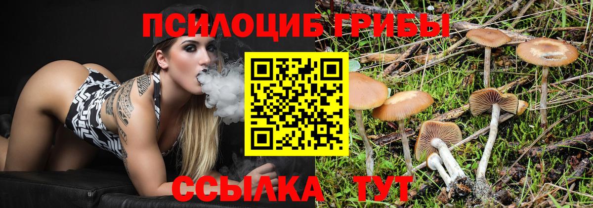 Псилоцибиновые грибы мухоморы Каменск-Уральский