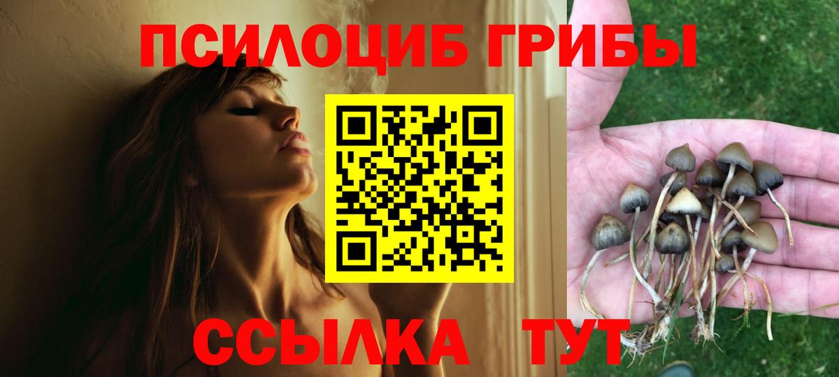 магазин  наркотиков  Вход с VPN  Каменск-Уральский  Псилоцибиновые грибы GOLDEN TEACHER  Псилоцибиновые грибы мухоморы 